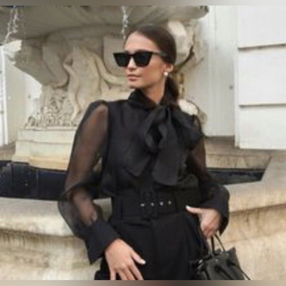 Zara Elegant Black Sheer Women's Top